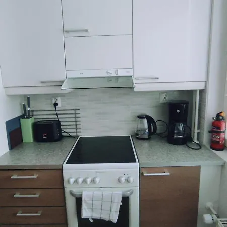 Linnankatu Furnished With Sauna דירה